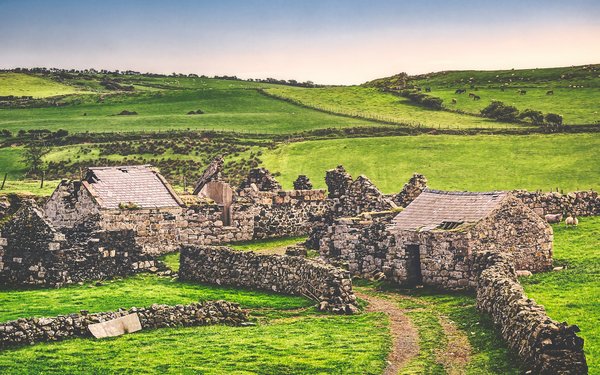 What are the steps to obtaining a permit for converting a UK traditional farm into a vineyard property?